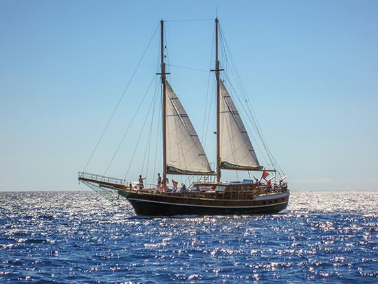 Sailing tours around Madeira
