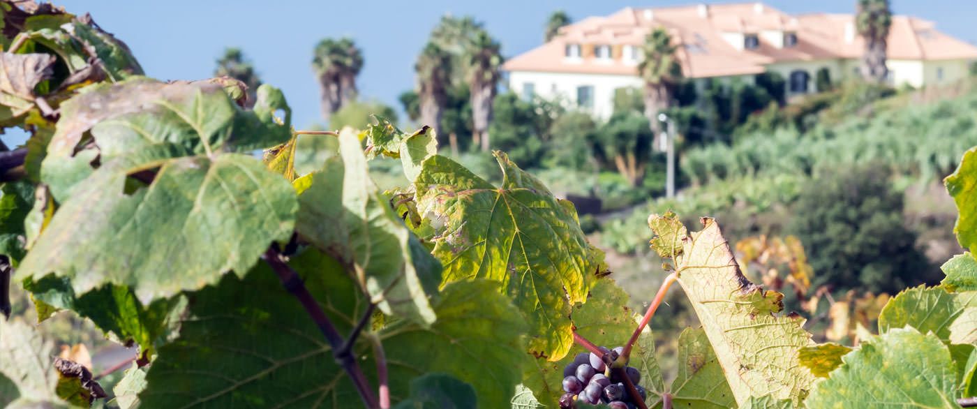 Want to Hike in Madeira?